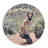 Maggie - Testimonial for Marmon Family Dog Training