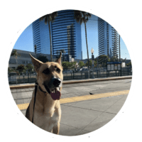 Maggie - Testimonial for Marmon Family Dog Training